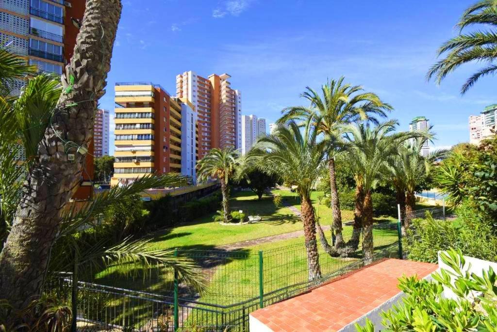 Views Apartment *